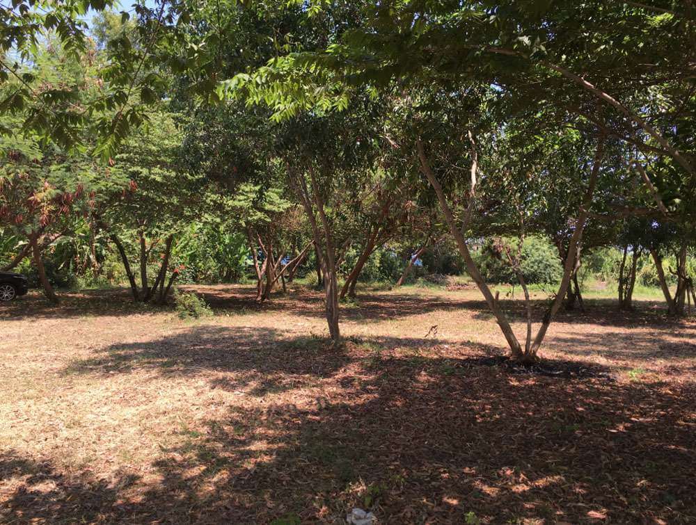 Kerobokan Villa Site