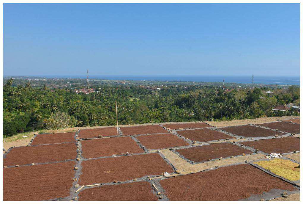 North Bali Villa Project  View Seririt