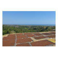 View Seririt - Bali Villa Projects - Own a Holiday Home in Bali - Palm Living Bali